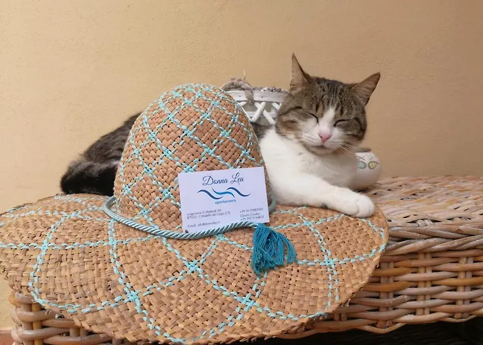 Donna Lea 4* Cittadella del Capo