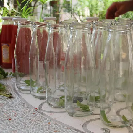 Donna Lea 4* Cittadella del Capo