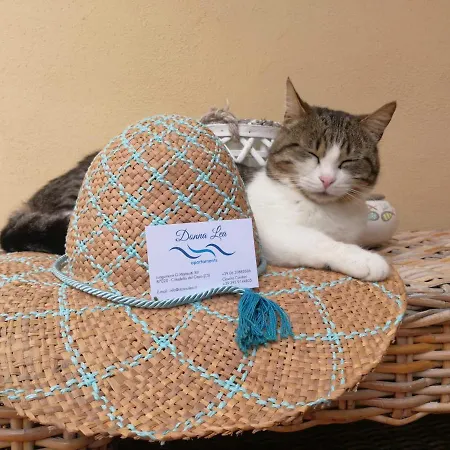 Donna Lea 4* Cittadella del Capo