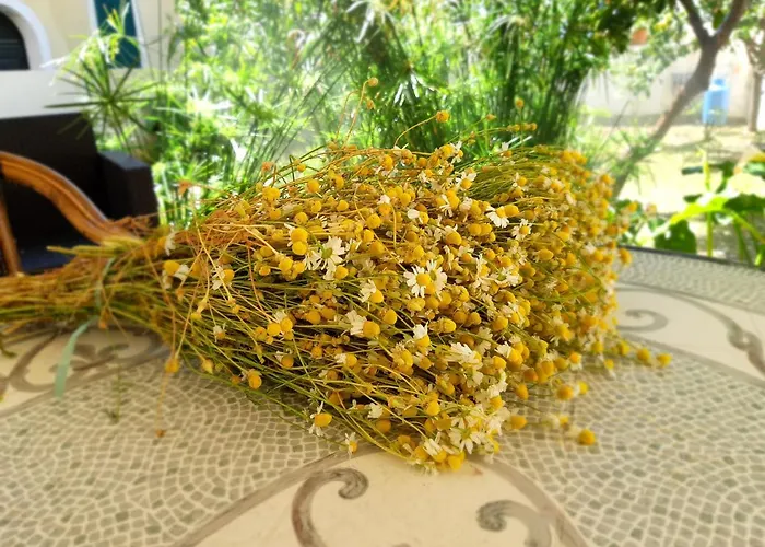 アパートホテル Donna Lea チッタデッラ・デル・カーポ